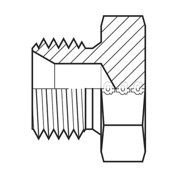 Hose Adapter, 3/8", BSPP