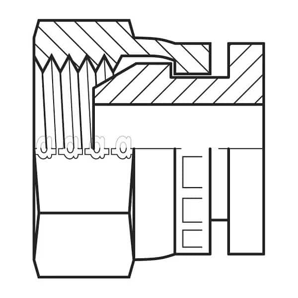 Hose Adapter, 5/8", BSPP