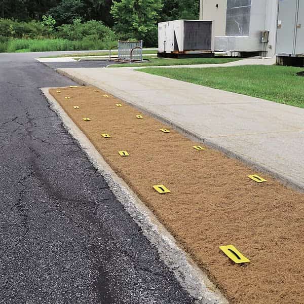 Drain Debris Filter, Sediment/Debris
