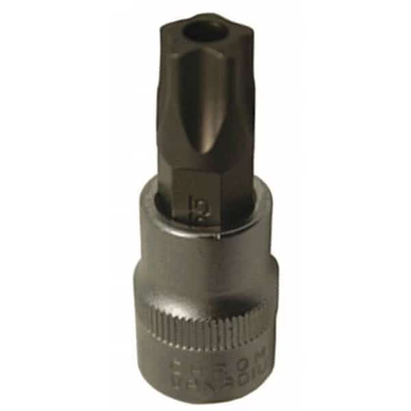 1/4" Drive, T20 SAE Socket, 5 Points