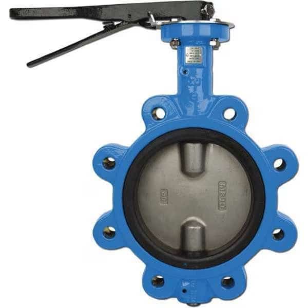 NSF, Butterfly Lug, 21/2", EPDM, SS Disc