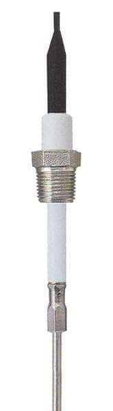 Liquid Probe, 12 In, 3/4 NPT, 10 Ft Cable