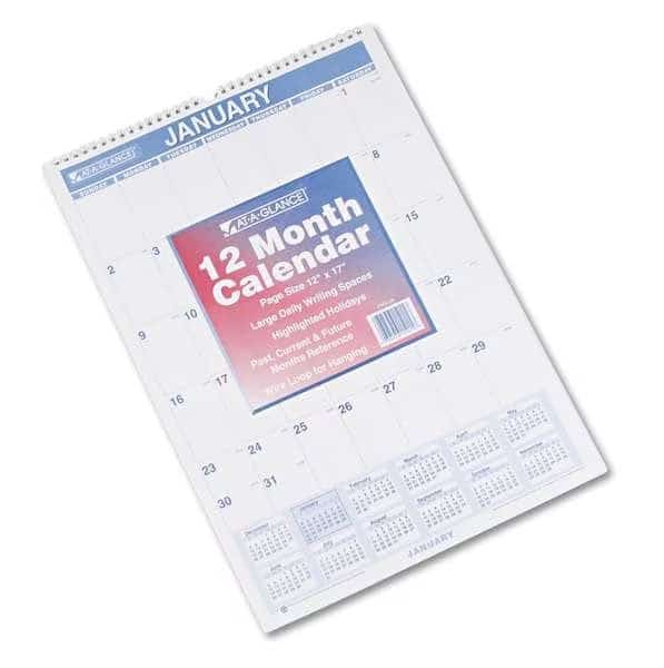 Monthly Wall Calendar with Ruled Daily Blocks, 12 x 17, White Sheets, 12-Month (Jan to Dec): 2025