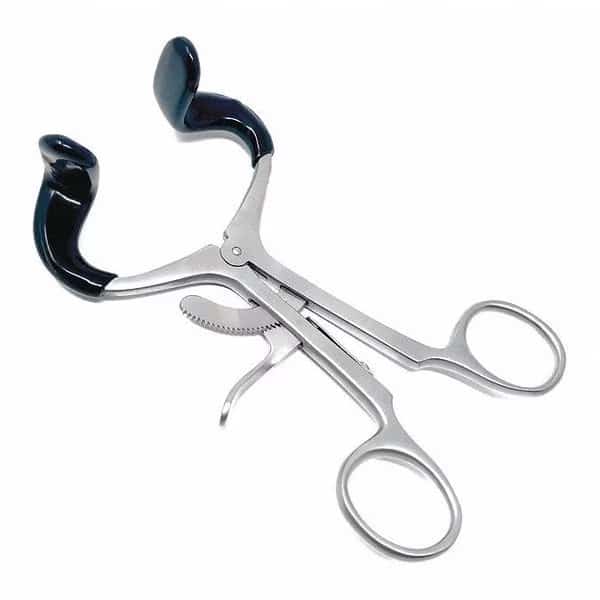 Molt Mouth Gag, Adult