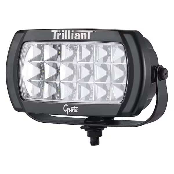 Trilliant Bi-Votage Flood