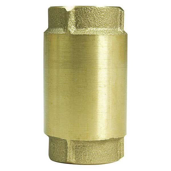 Check Valve, 1", Brass