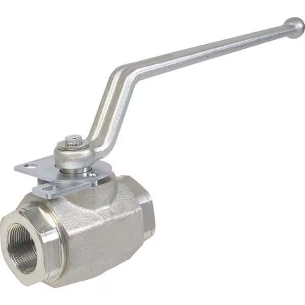 CS Valve, 2" SAE, 6000 PSI Max, w/Lock