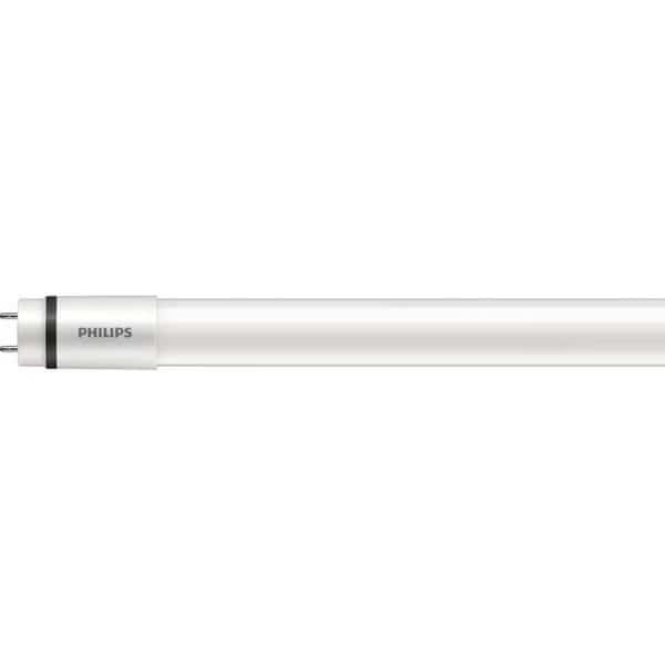 Linear LED Bulb, Med Bi-Pin (G13), T8, 1PK