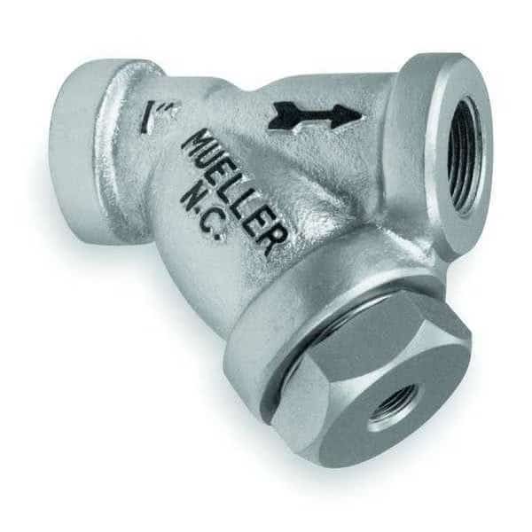 Y Strainer, 1/4" Pipe, FNPT x FNPT, Cast Carbon Steel