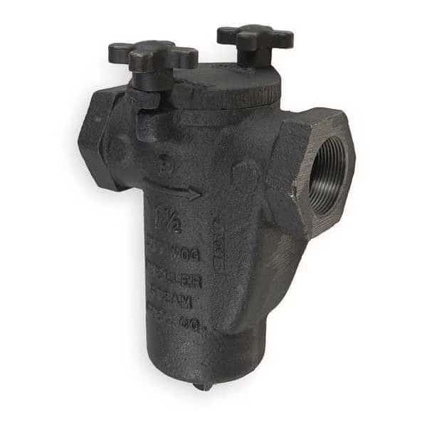 3/4", FNPT x FNPT, Cast iron, Basket Strainer, MUELLER STEAM SPECIALTY, Mfr# 3/4 125 CI Iron Body Screwed
