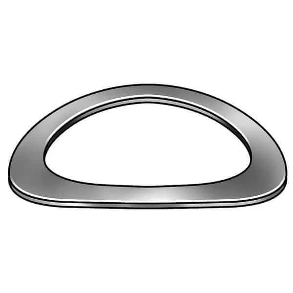 Disc Spring, Curved, 0.25,301 SS, PK10