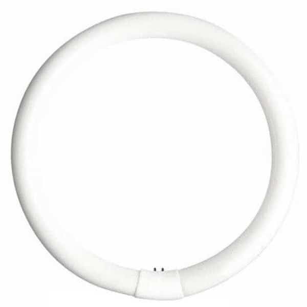 GE LIGHTING 22W, T9 Circular Fluorescent Light Bulb