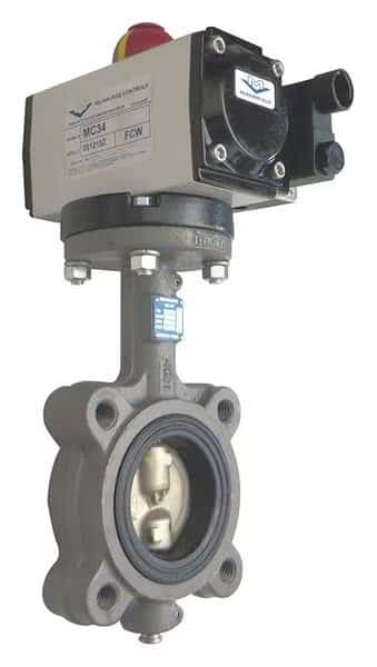 Butterfly Valve, Dbl Acting, Cast Iron, 2In