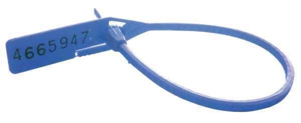 Cinch-up Locking Seal, Blue, PK100