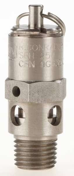 Safety Valve, Hard Seat, 1/4 In, 75 PSI, SS
