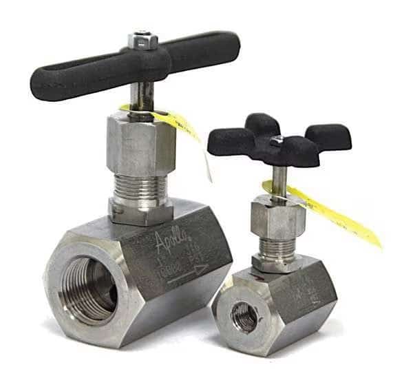 Globe Valve, 1 In., FNPT, 316 SS