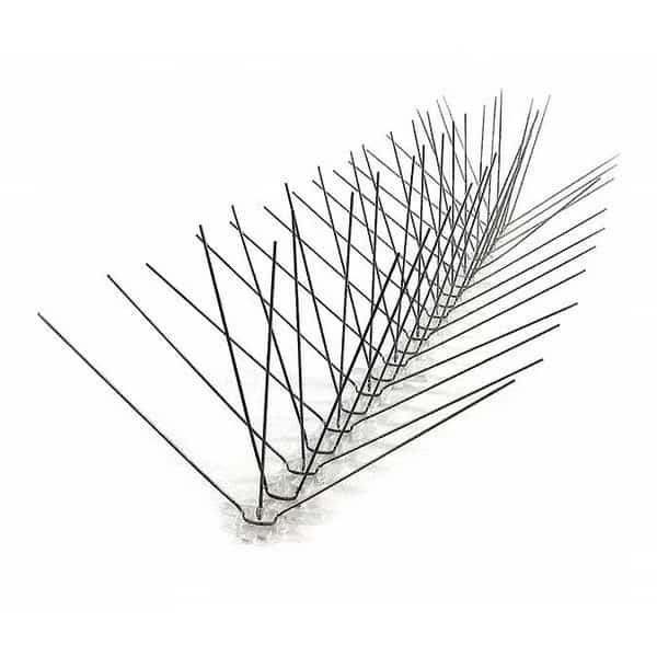 Extra Wide Stainless Steel Spikes, 24ft.