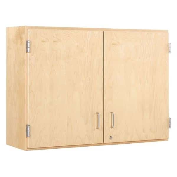 Wall Mount & Shelving Storage Cabinet, 30 in H, 48 in W, 2 Adjustable Shelves