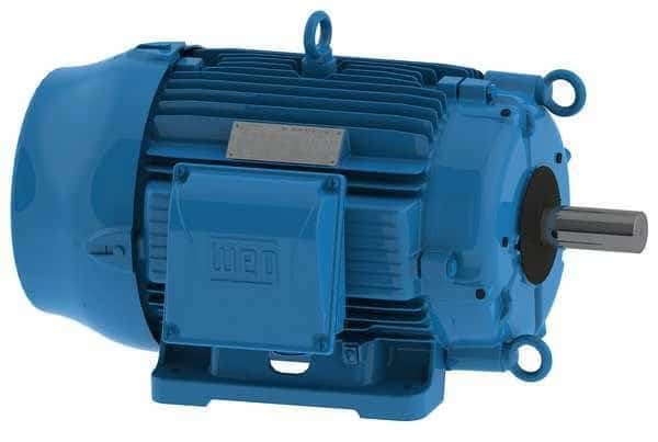 Cooling Tower Motor, Three Phase, 40 HP, 1,770 Nameplate RPM, 200V AC, 324T Frame