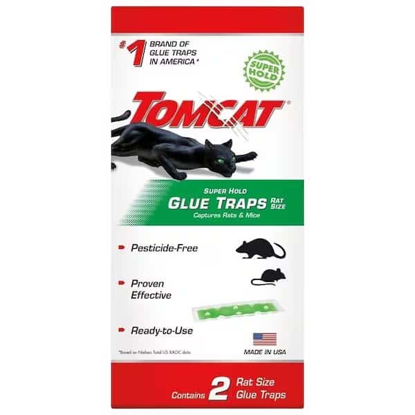 0 Rat Glue Trap, 412 in W, 1212 in H