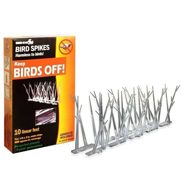 Bird Spike Kit