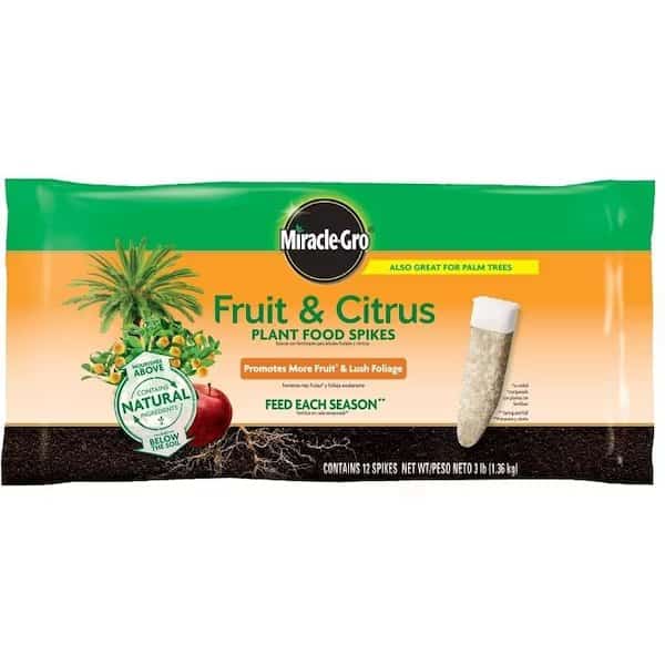 Plant Food Spike, Solid