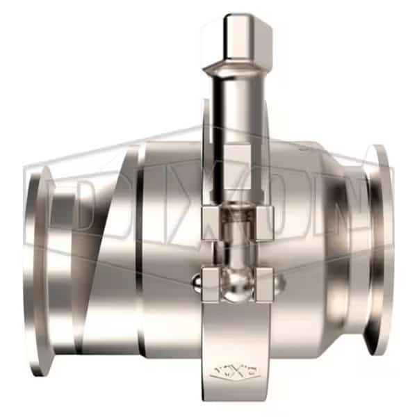 3 in ECCENTRIC SPRING CHECK VALVE, FKM