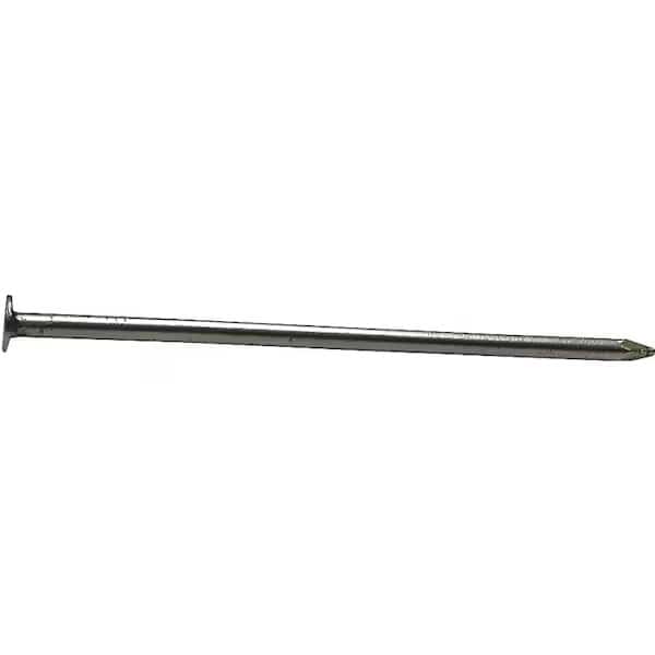 Common Nail, 4-1/2 in L, 30D, 5 ga