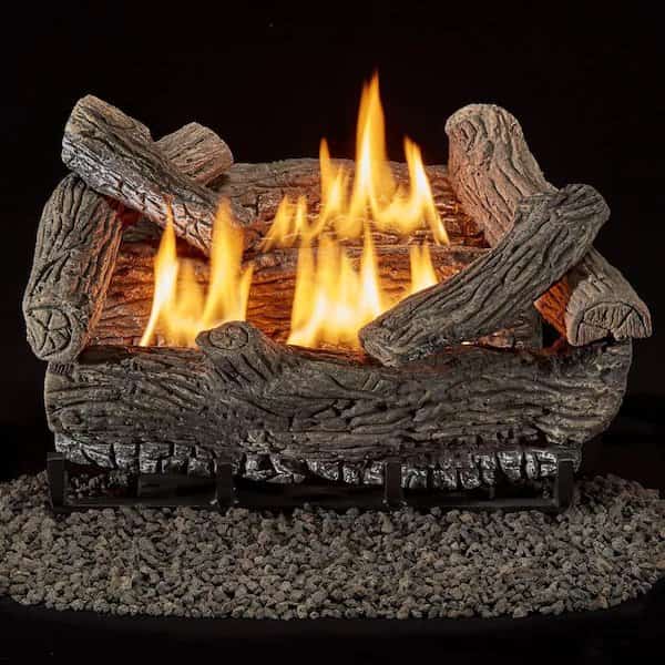 Vent Free Dual Fuel Gas Log Set, 18 in Birch Wood, 30,000 BTU, Remote Control