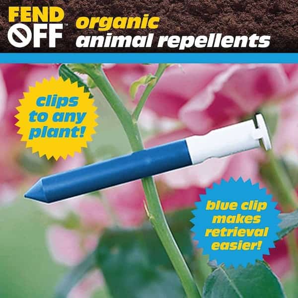 Garlic Clip Repellant with Odor Release, Pk 100