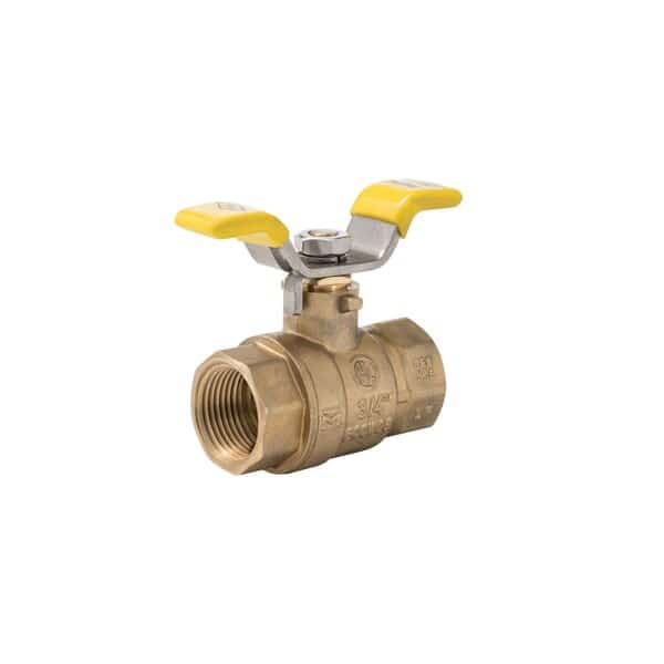 Pack Gland Valve, Ips 3/4" PK10