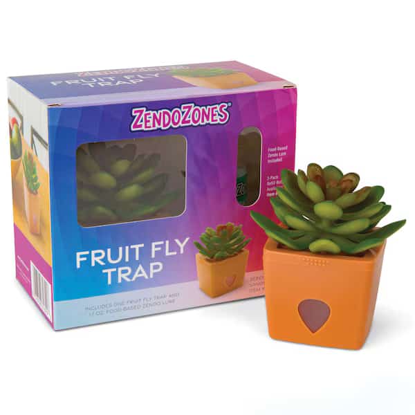 Fruit Fly Trap, Bait Box, Orange