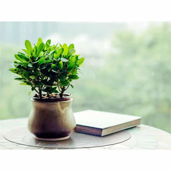 Desktex AntiS Polycarb Rnd,12" Dia,PK2, Mfr#: FPDE12ERA2, DESKTEX
