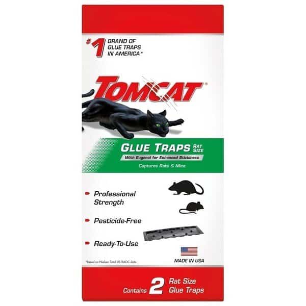 0 Rat Glue Trap