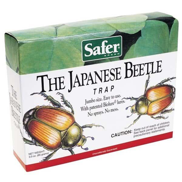 Japanese Beetle Trap, Solid, Fruity Box