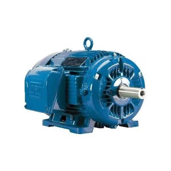 200 HP, 445/7T Frame, 460 Voltage, 1800 Nameplate RPM 48.701 Overall Length