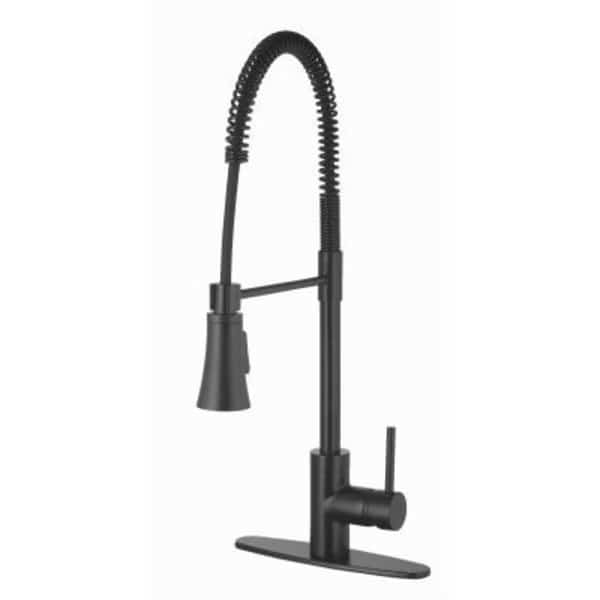 HP SS SGL Kitch Faucet